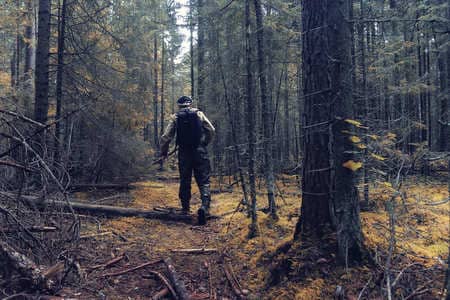 Купить диплом Егеря, лесника в Подольске